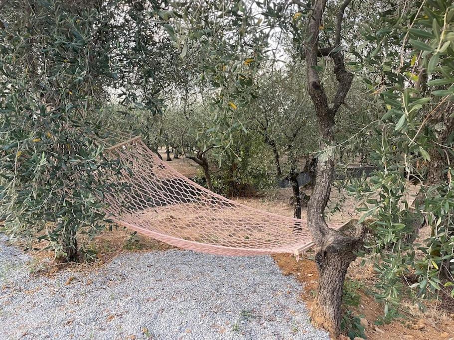 Il Fienile Di Alberto E Costanza Lucca Exteriér fotografie