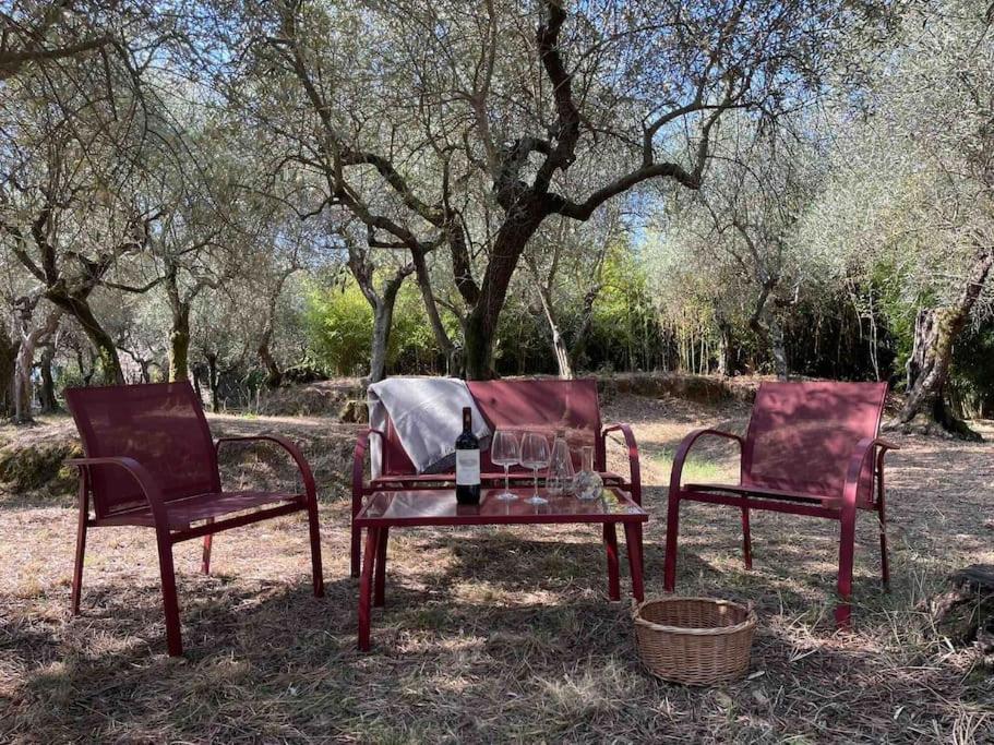 Il Fienile Di Alberto E Costanza Lucca Exteriér fotografie