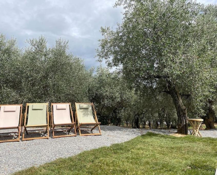 Il Fienile Di Alberto E Costanza Lucca Exteriér fotografie